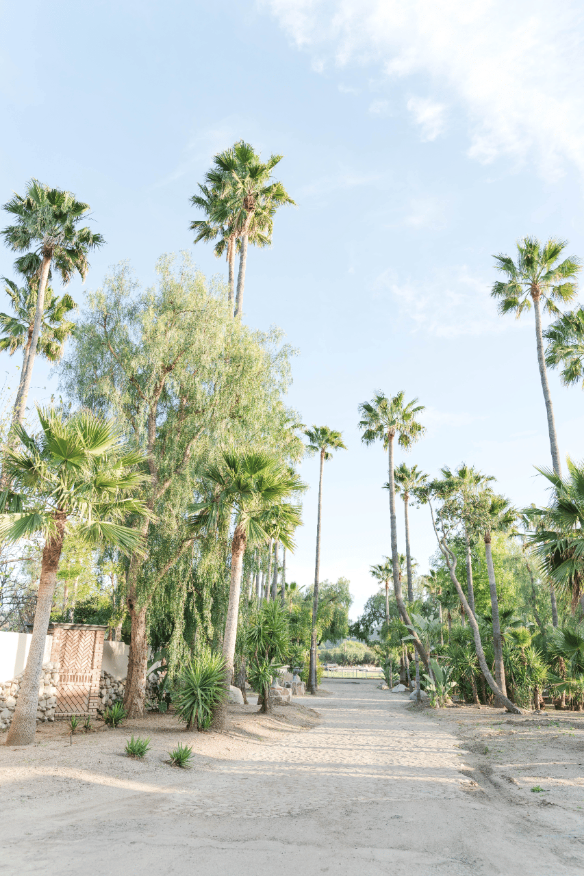 A Romantic Spring Wedding at Rancho de las Palmas photo 2