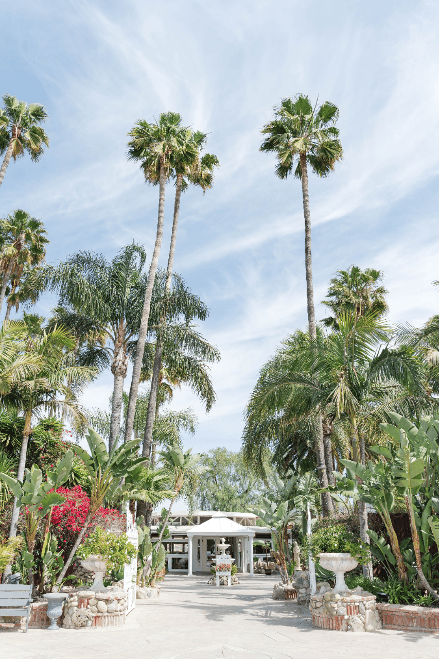 Rancho de las Palmas