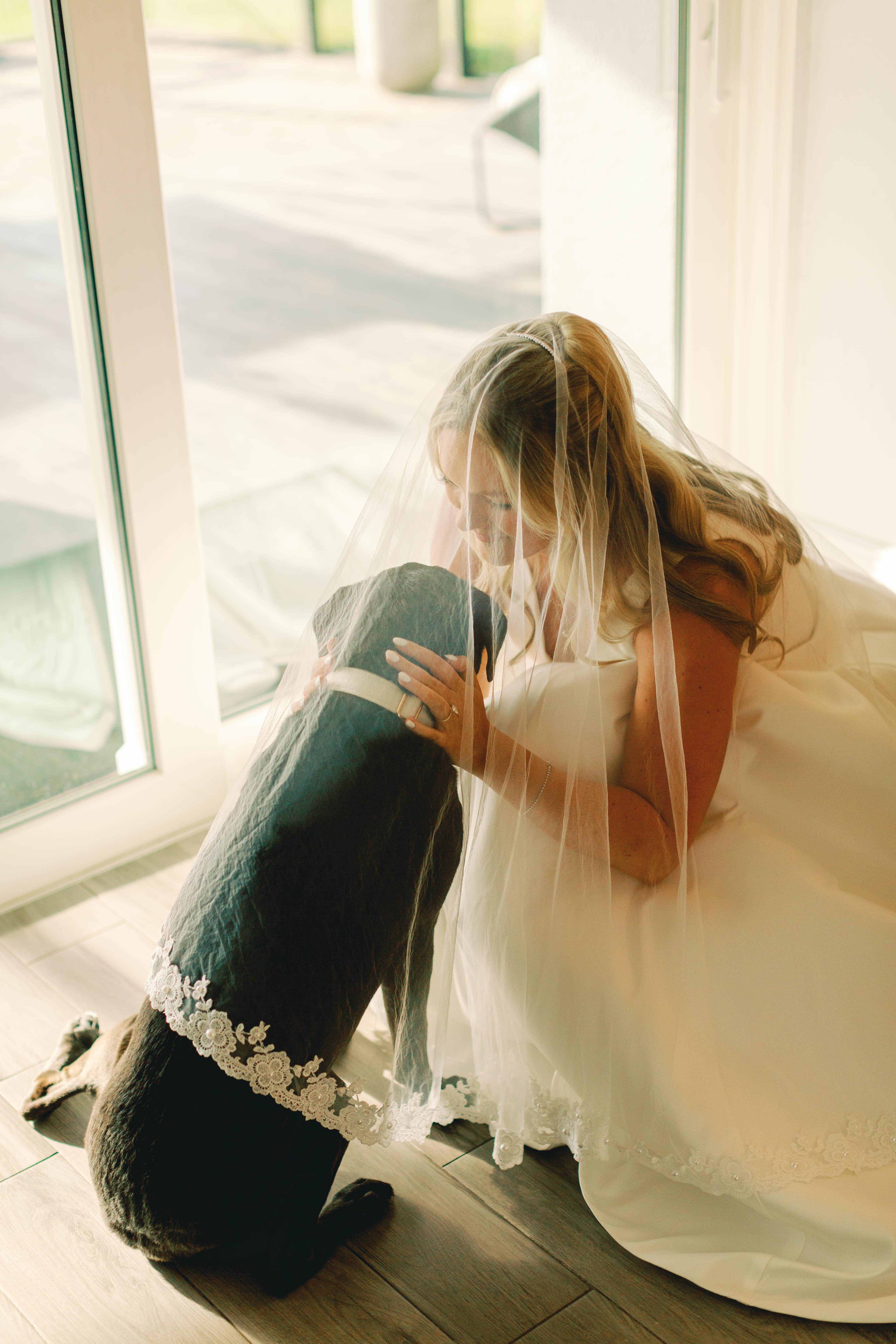 Erika Maurino & Jeff Draluck's wedding 8