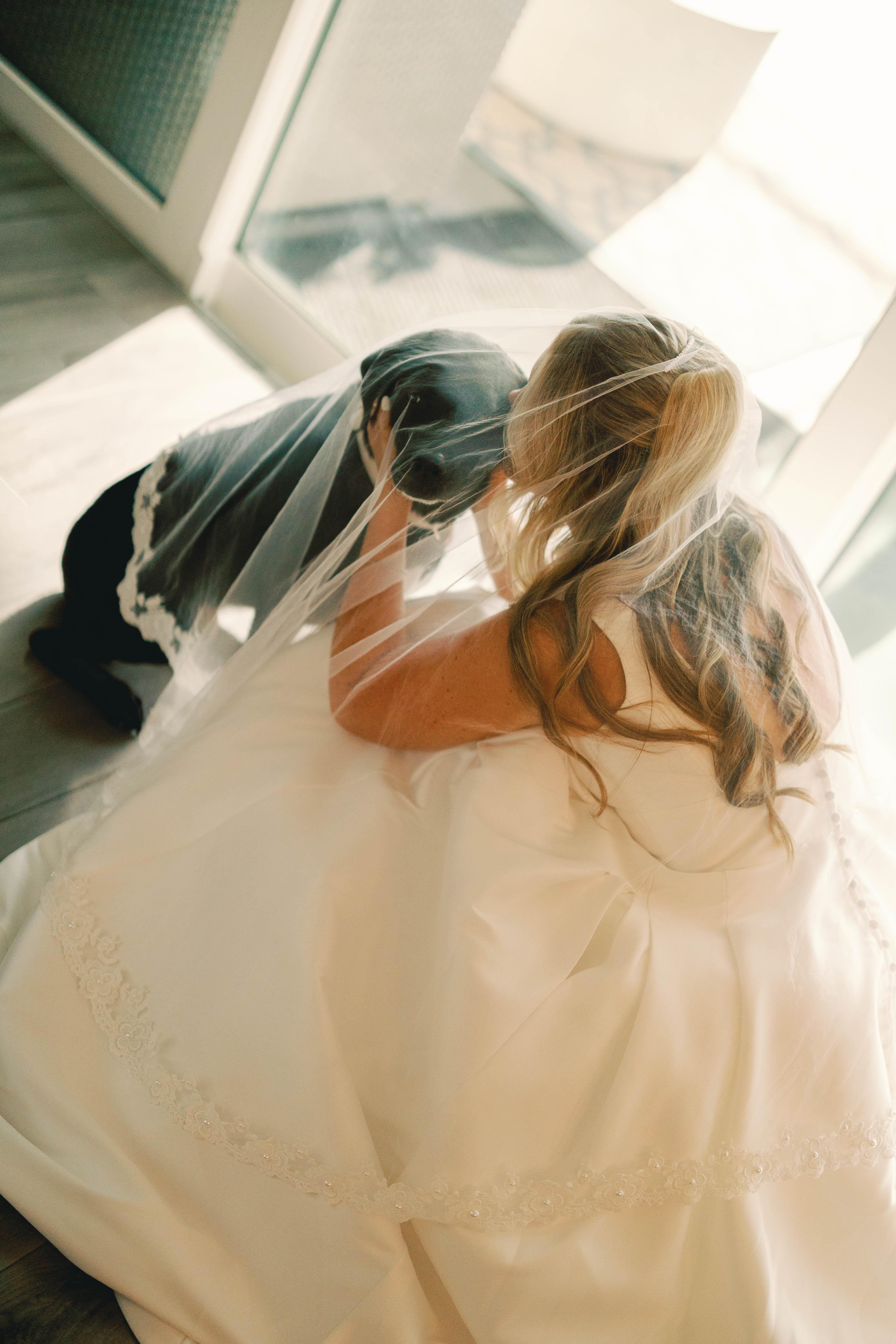 Erika Maurino & Jeff Draluck's wedding 14