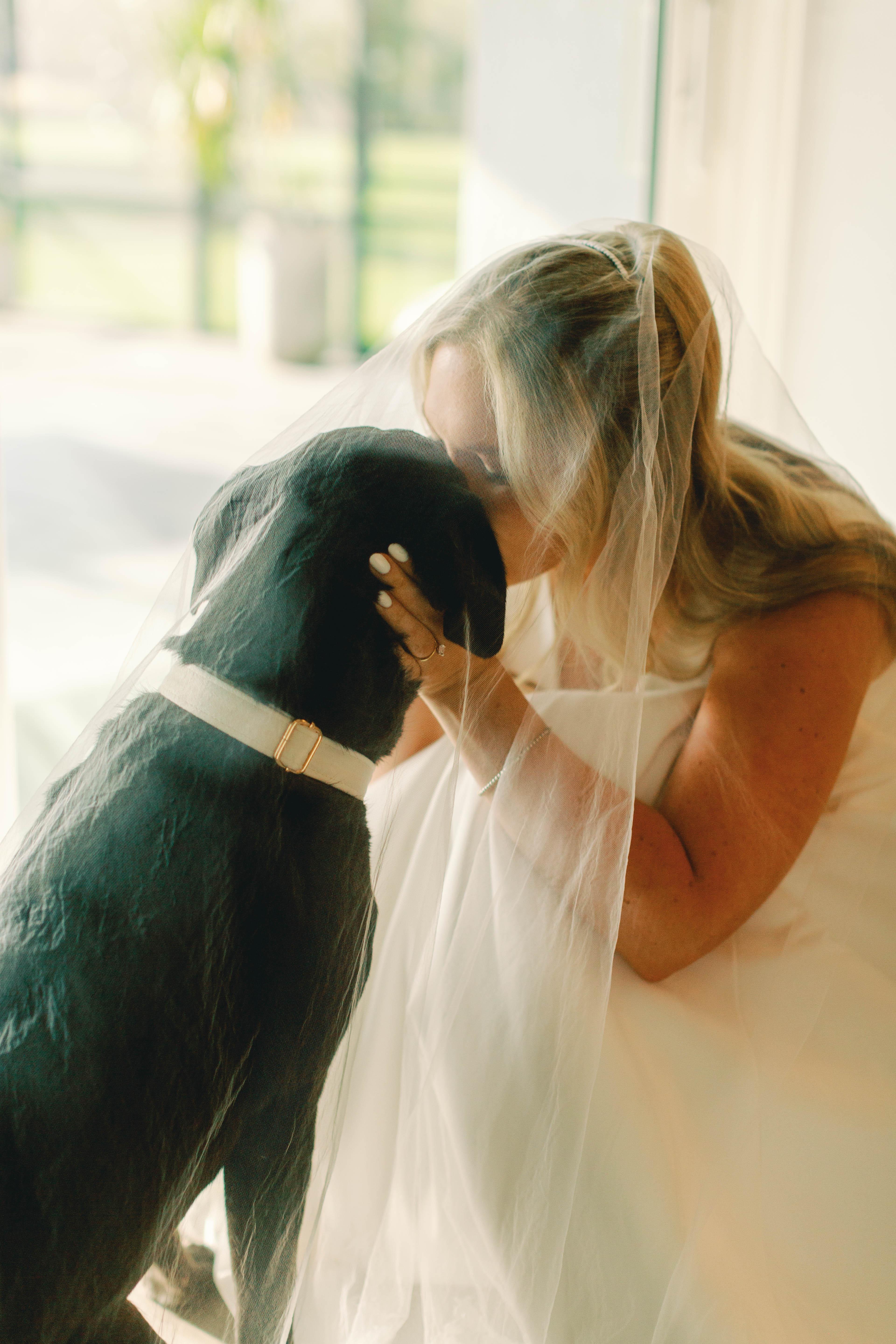 Erika Maurino & Jeff Draluck's wedding 15