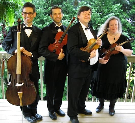 Stone Mountain Strings