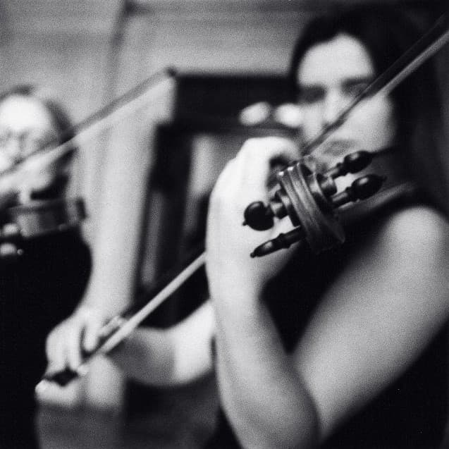 Quattro Strings