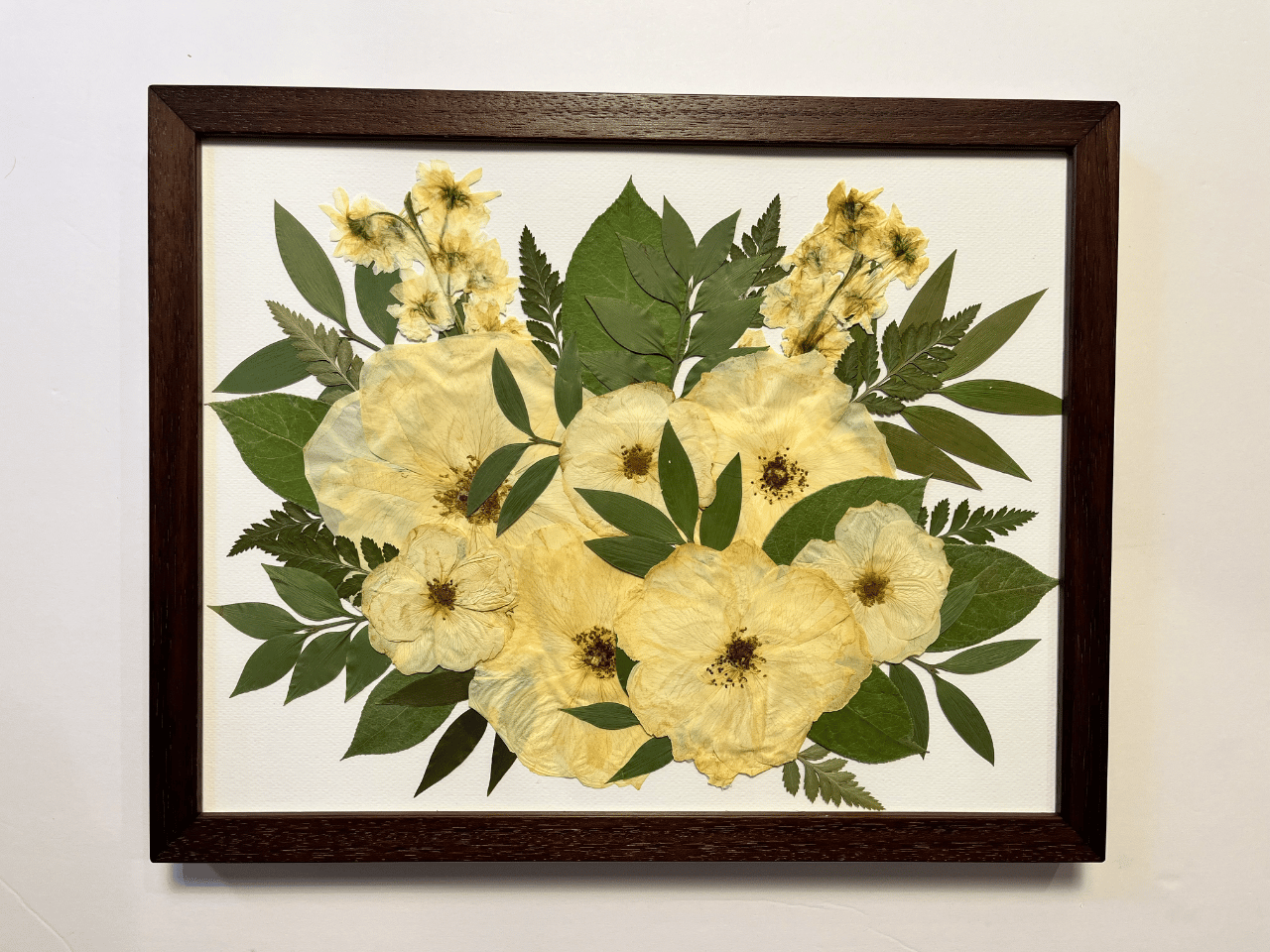 Archive Floral Preservation portfolio 4