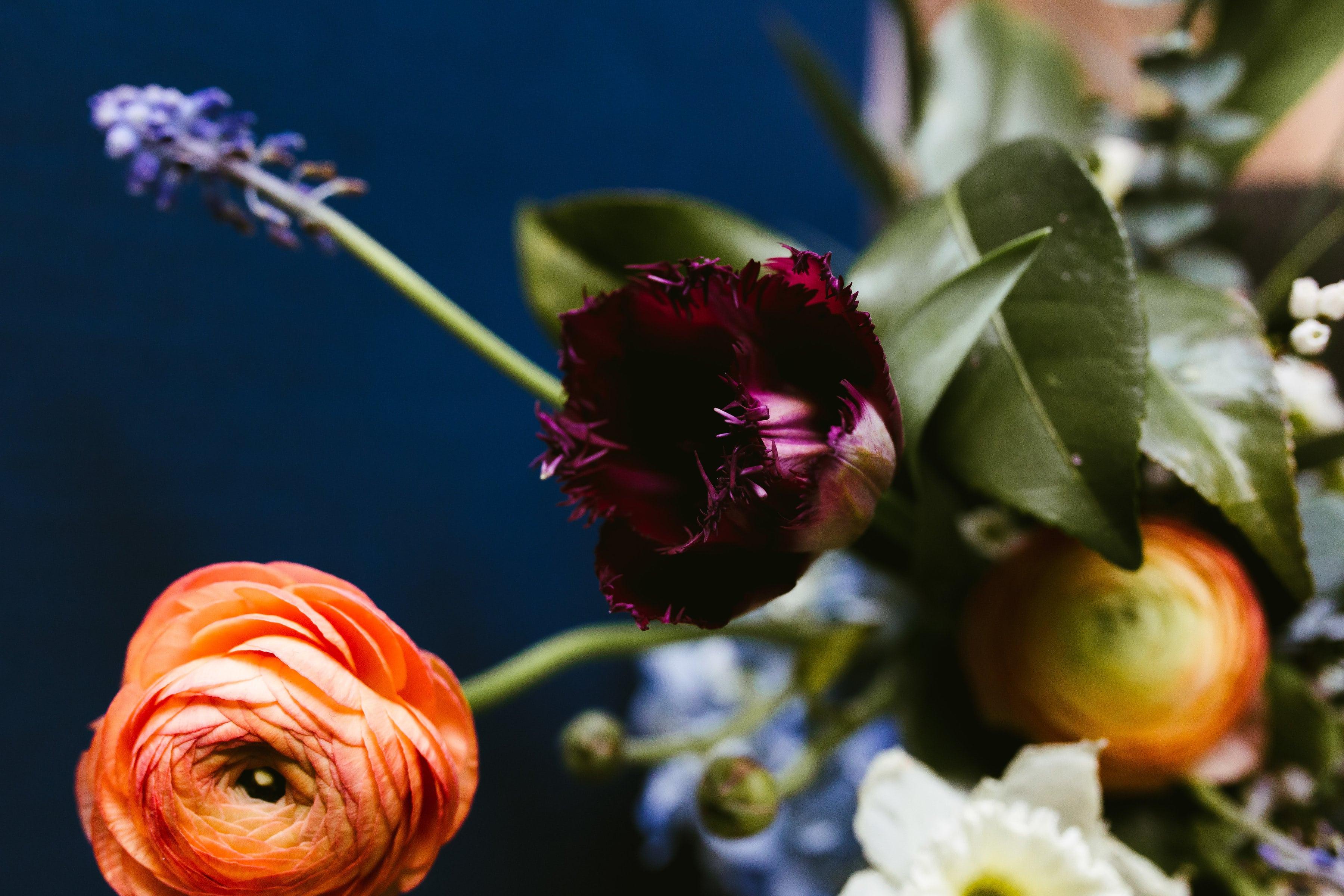 Studio Posy portfolio 3