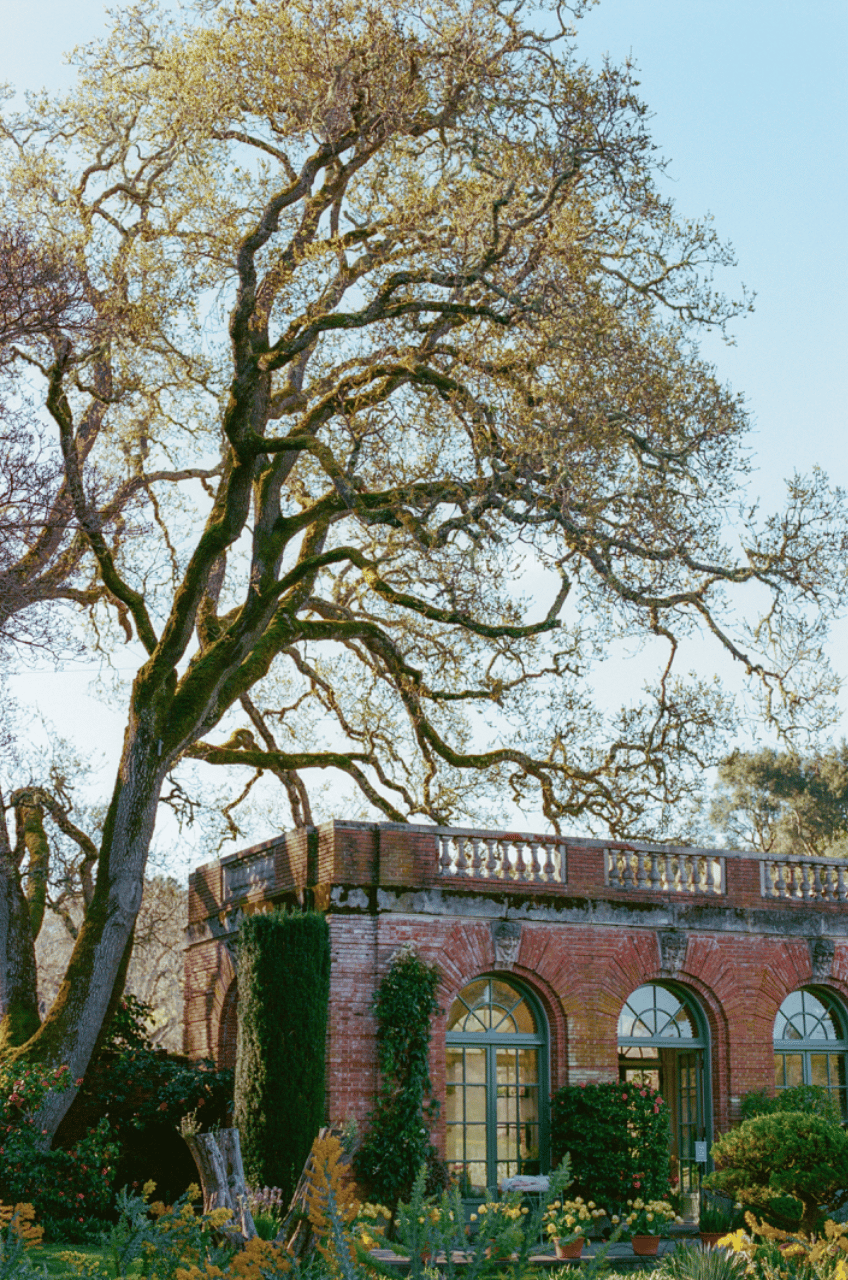 A Romantic Spring Editorial Shoot at Filoli Garden photo 3