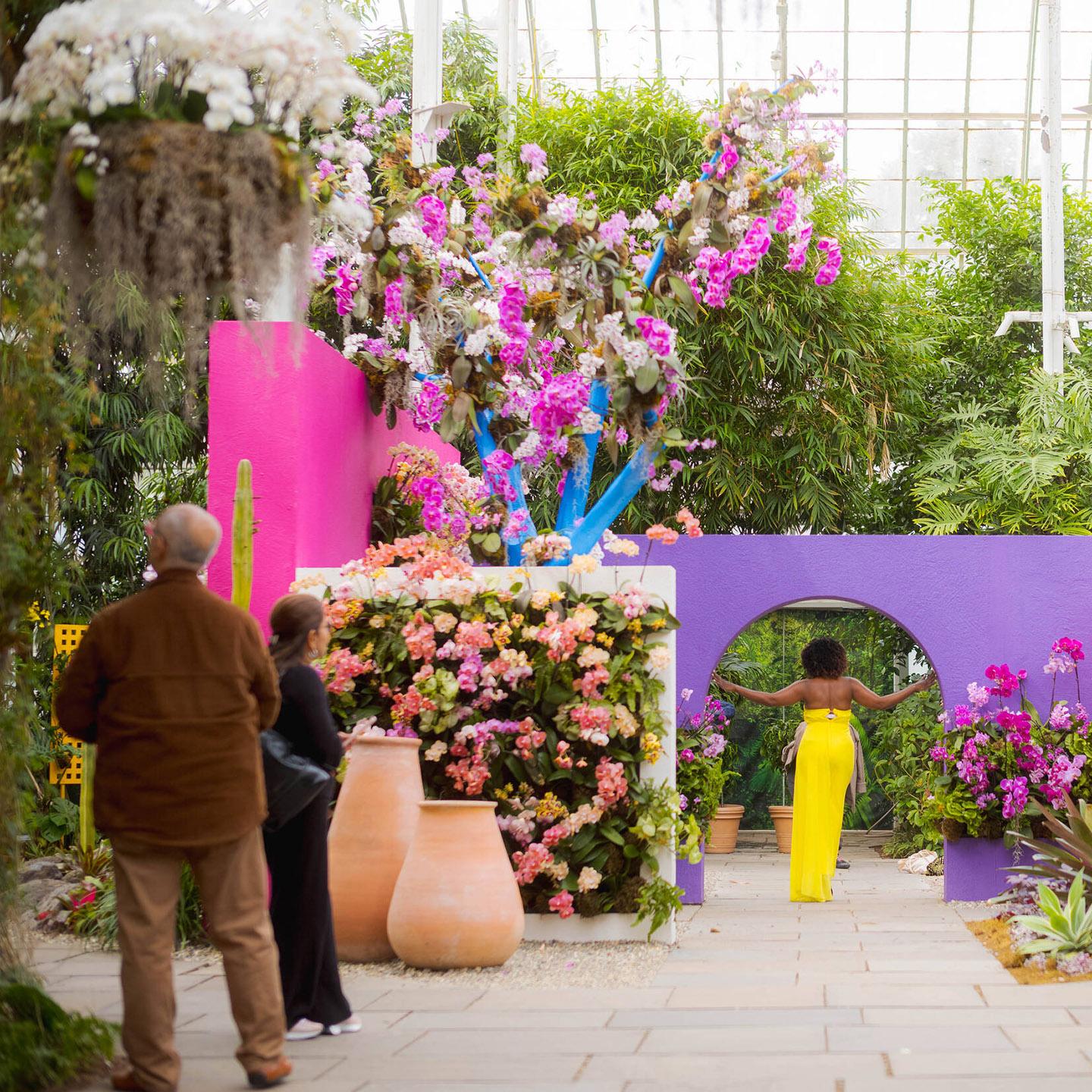 New York Botanical Gardens portfolio 2