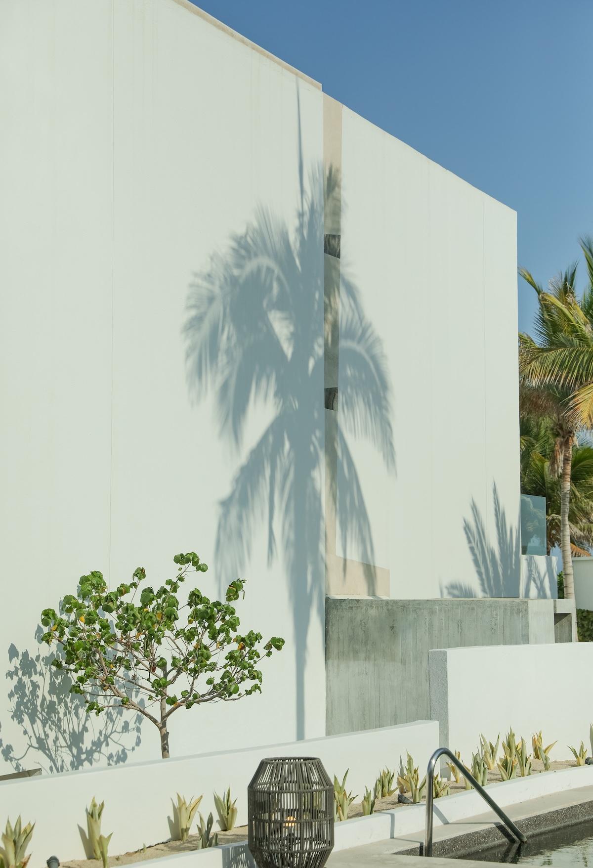 A Modern Summer Wedding at the Viceroy Los Cabos 26