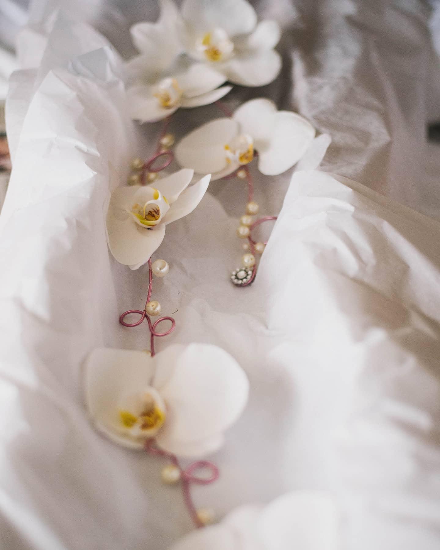 Events In Bloom