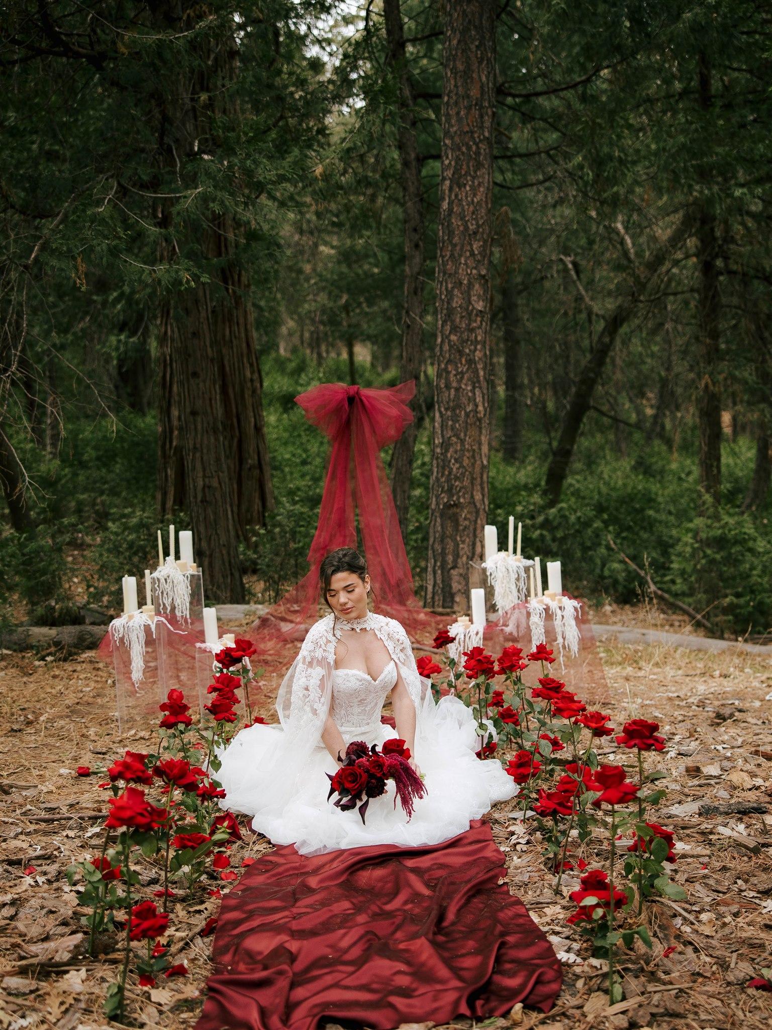 Thousand Pines portfolio 3