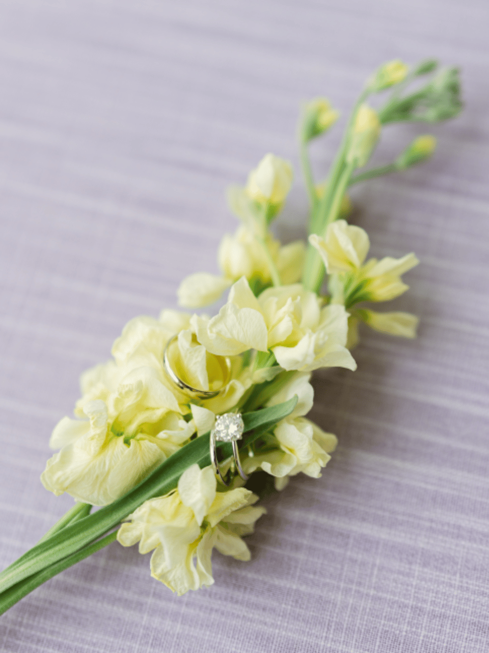 A Romantic Spring Wedding at Firefly Lane Events photo 3