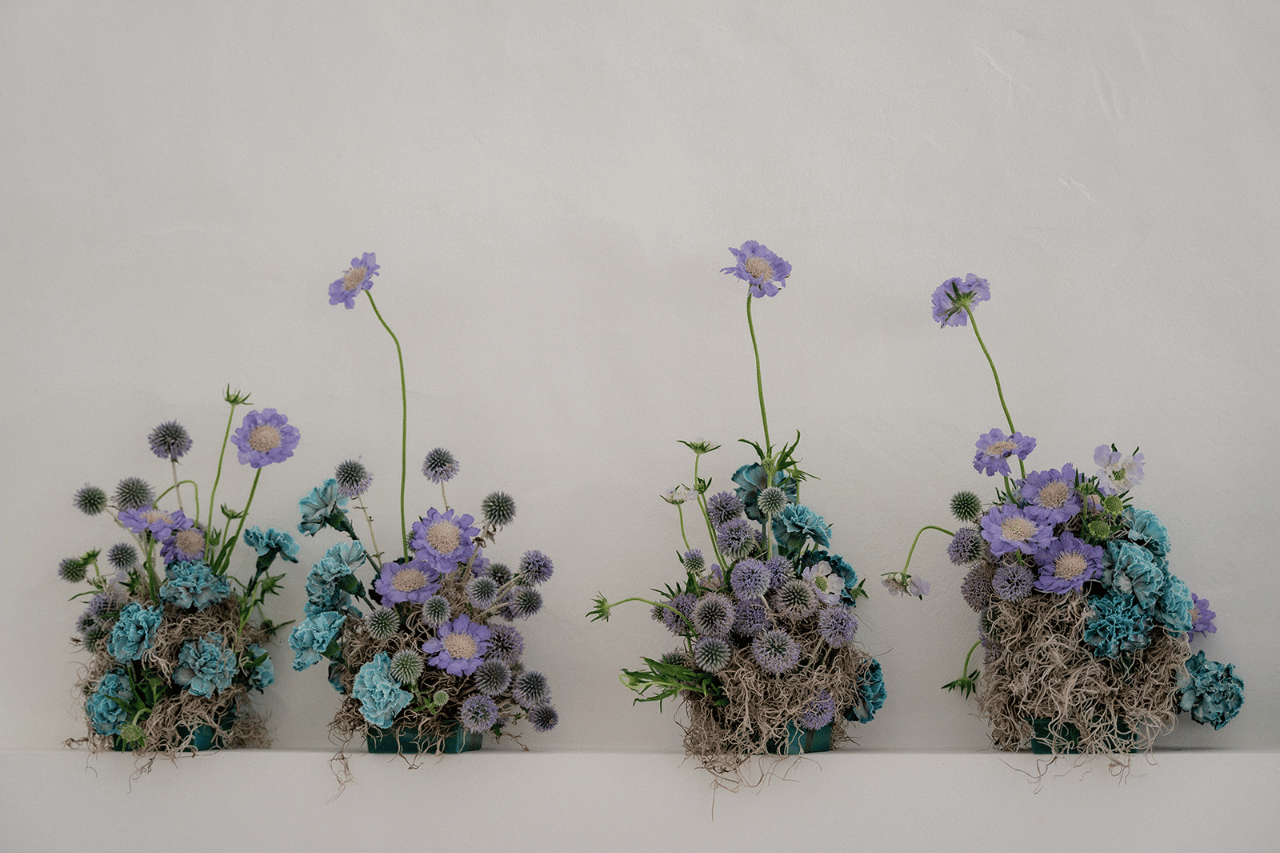 A Modern Summer Wedding at Casa Sacoto