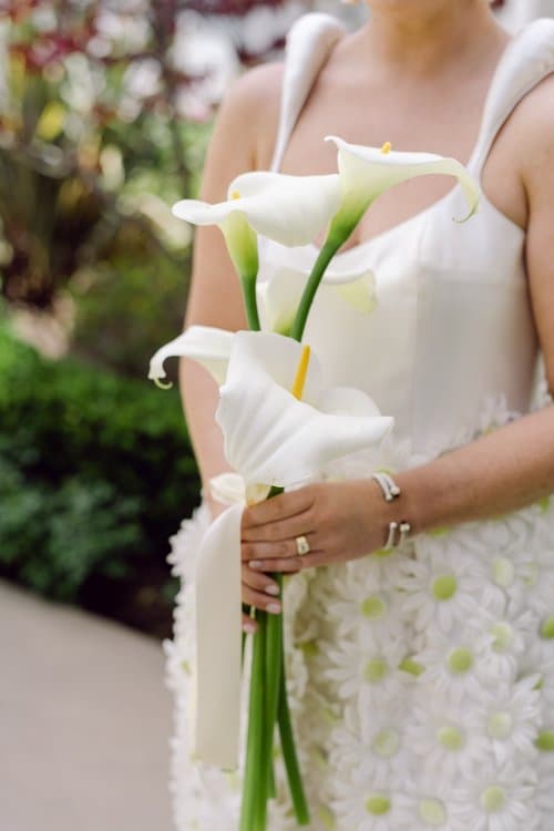 Jillian Rose Photography portfolio 5