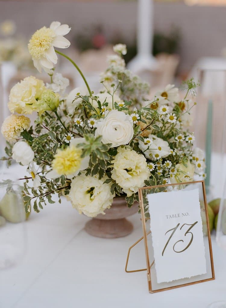 Nikki Visser & Sean Driscoll's wedding 4