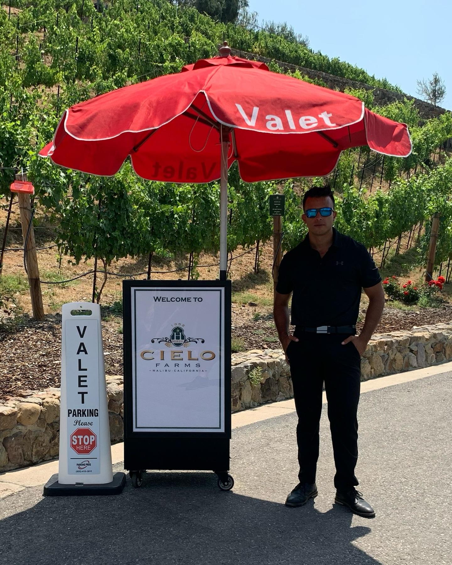 Vallet Parking Pros portfolio 3