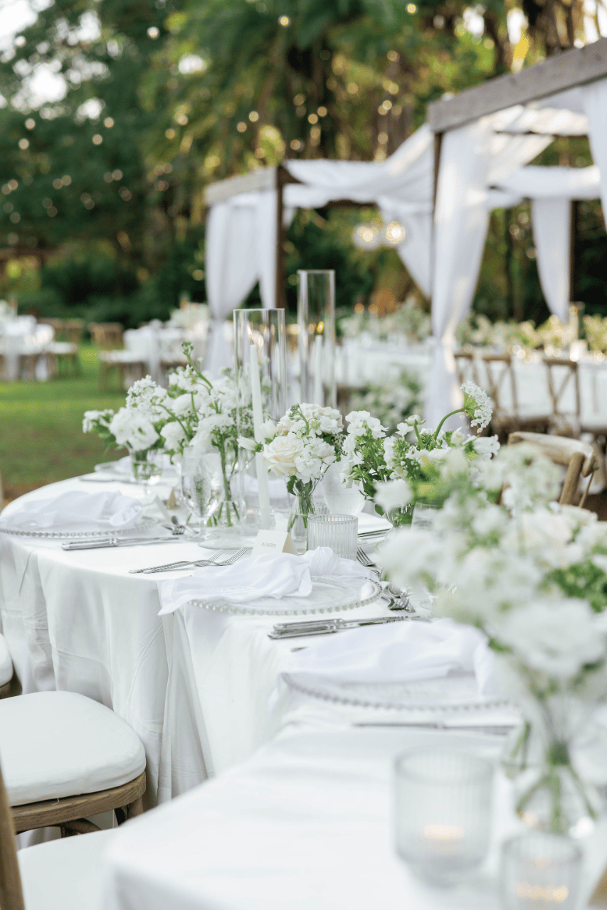Olivia Schmidt & Jason Hyland's wedding-image-32