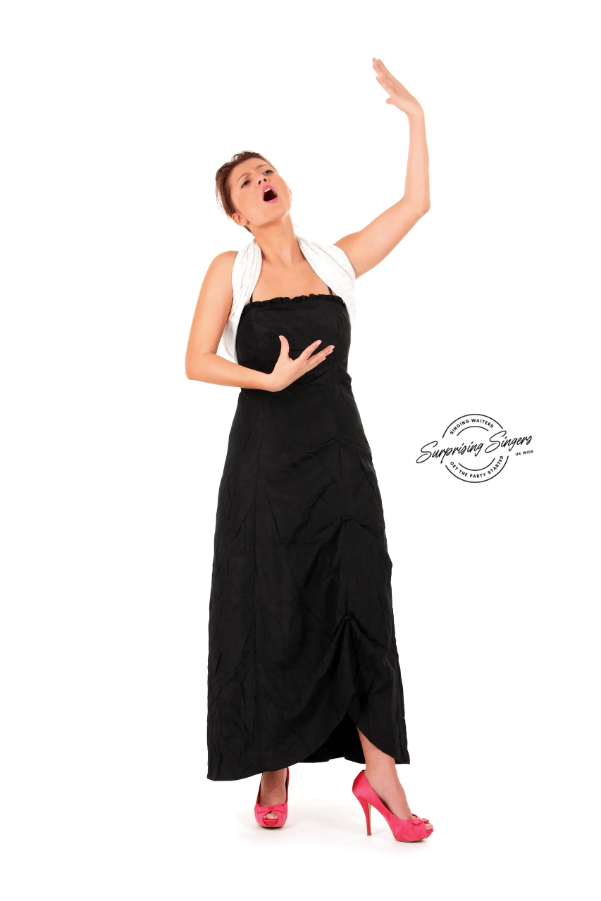 Surprising Singers portfolio 3