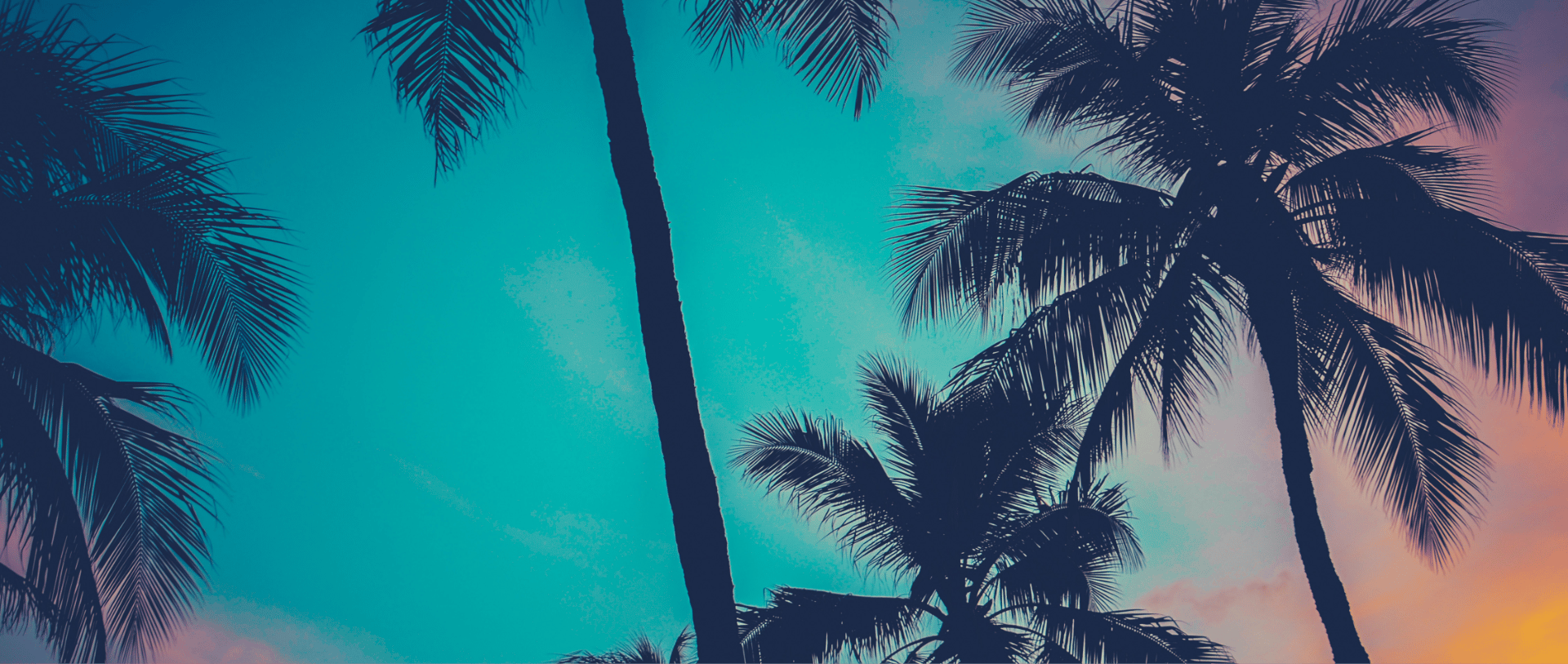 Palm Beach Tours & Transportation portfolio 2