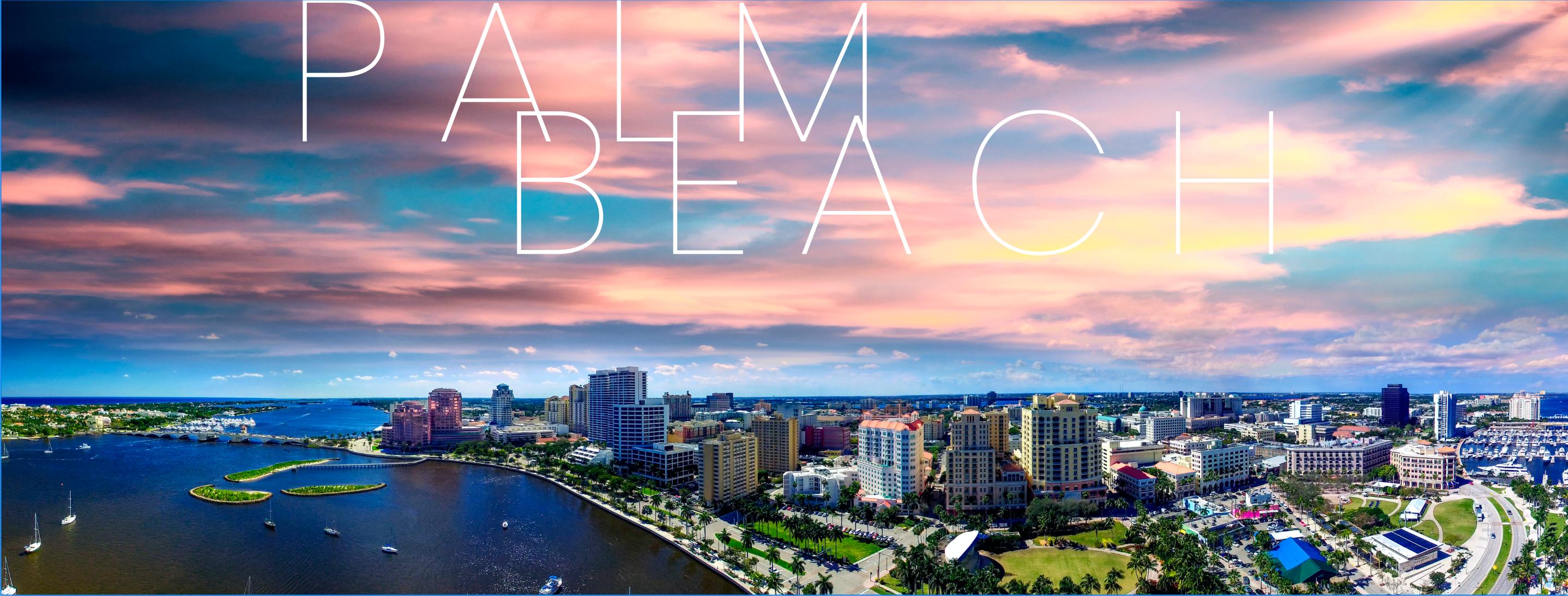 Palm Beach Tours & Transportation portfolio 3
