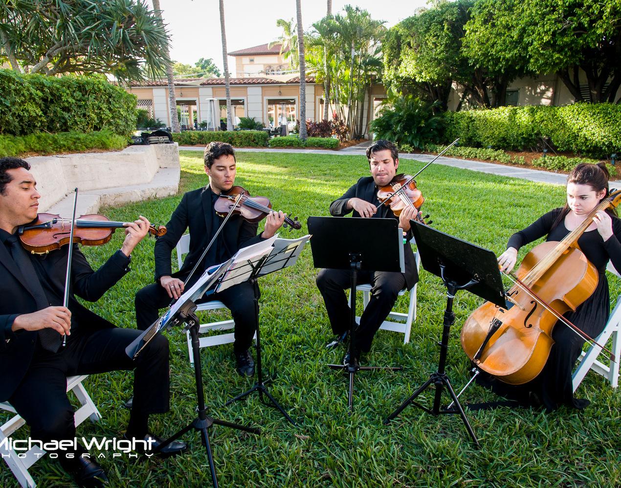 Master Musicians portfolio 3