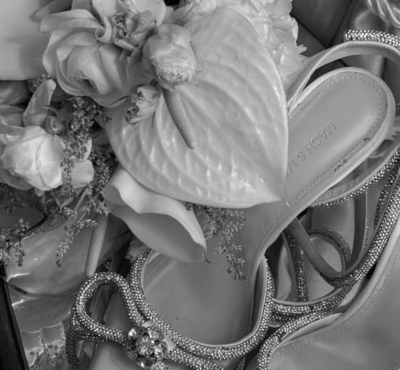 Velvet Vine Weddings portfolio 3