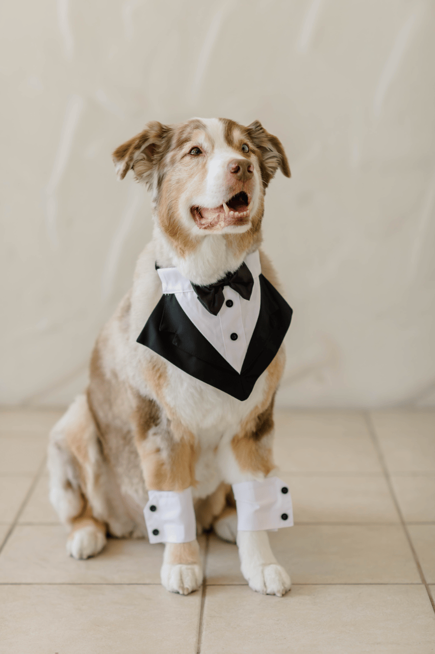 Meaghan Brown & Brendan Lindwall's wedding-image-25
