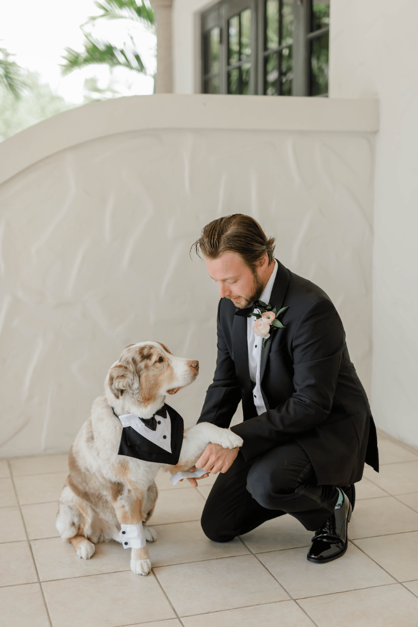 Meaghan Brown & Brendan Lindwall's wedding-image-15