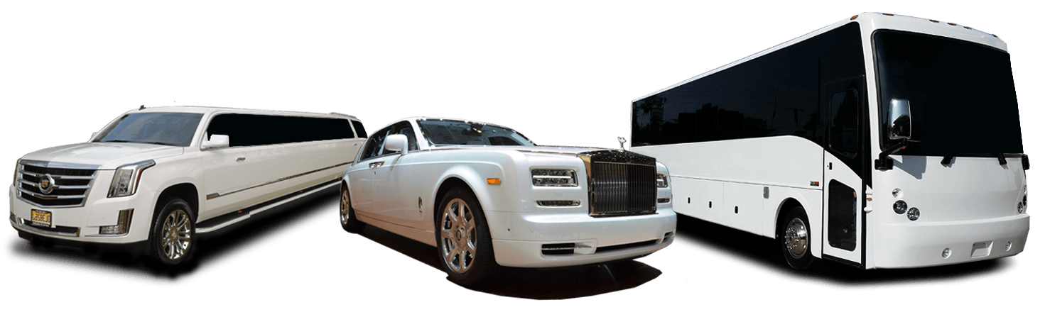 Santos VIP limo portfolio 1