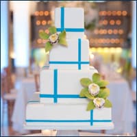 Cake Chicago portfolio 2