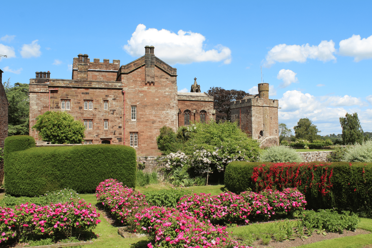 Rose Castle portfolio 1