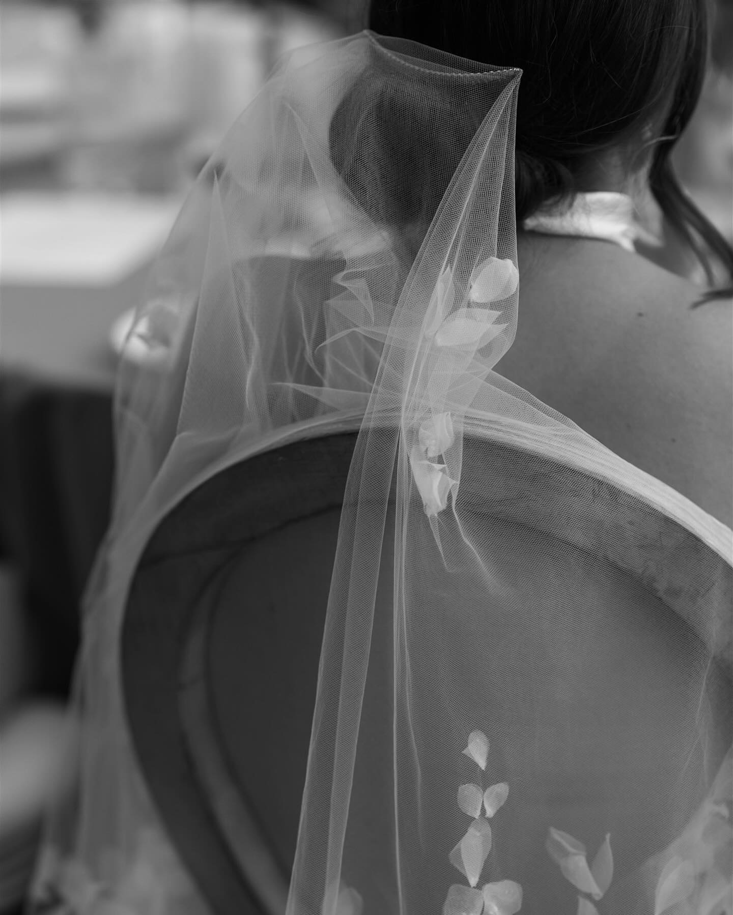 Tammi Camp Photography