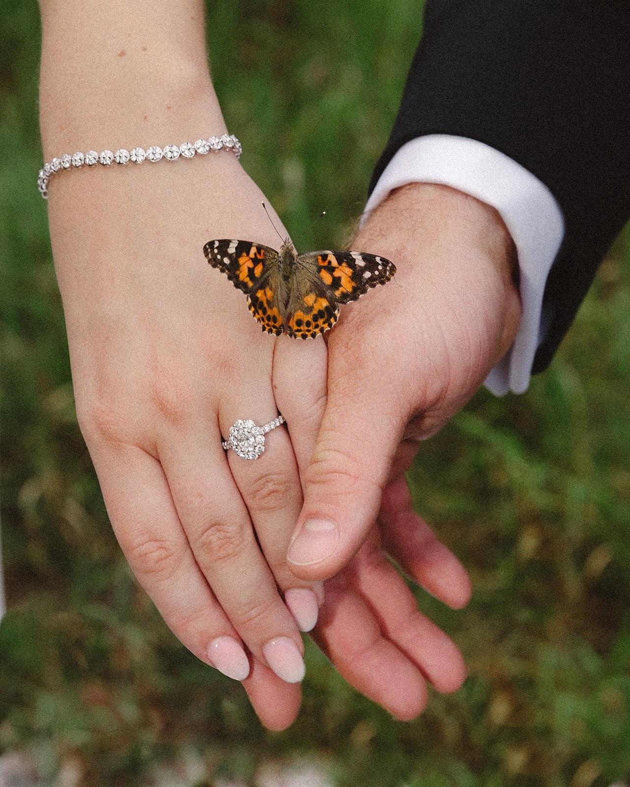 Katie Dewald Photography