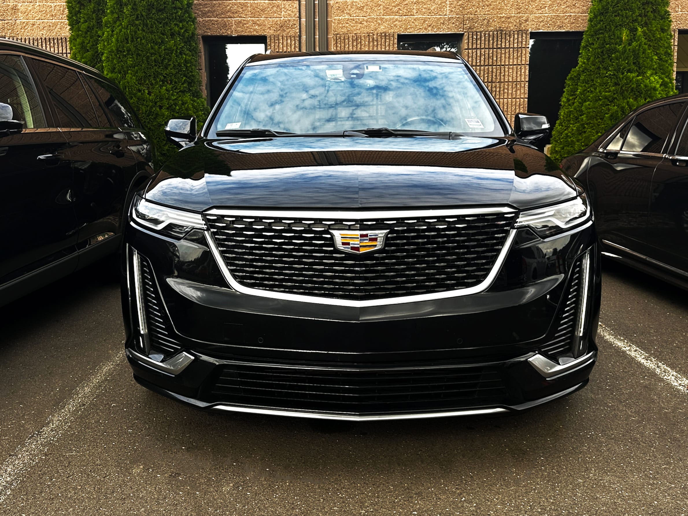 Elite Limousine CT