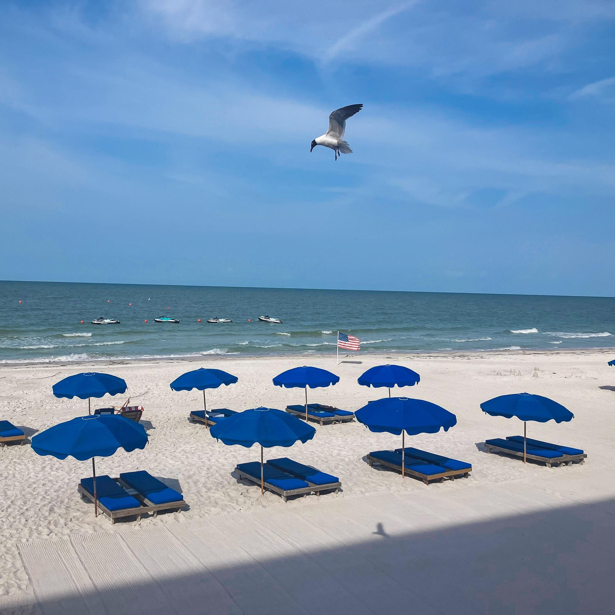 DoubleTree Beach Resort by Hilton North Redington Beach portfolio 2