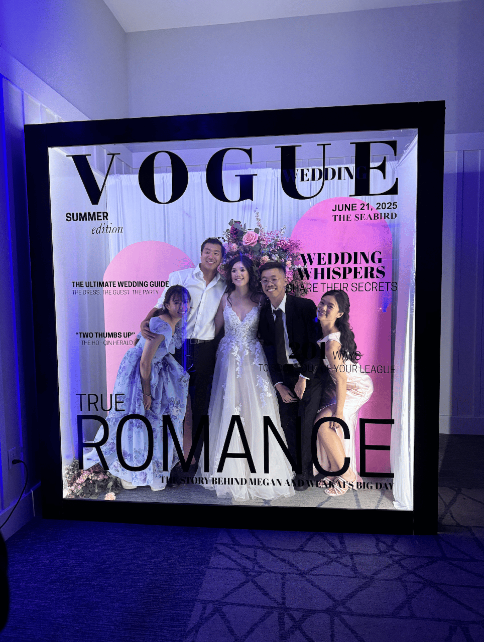 Venus Velvet LLC portfolio 2