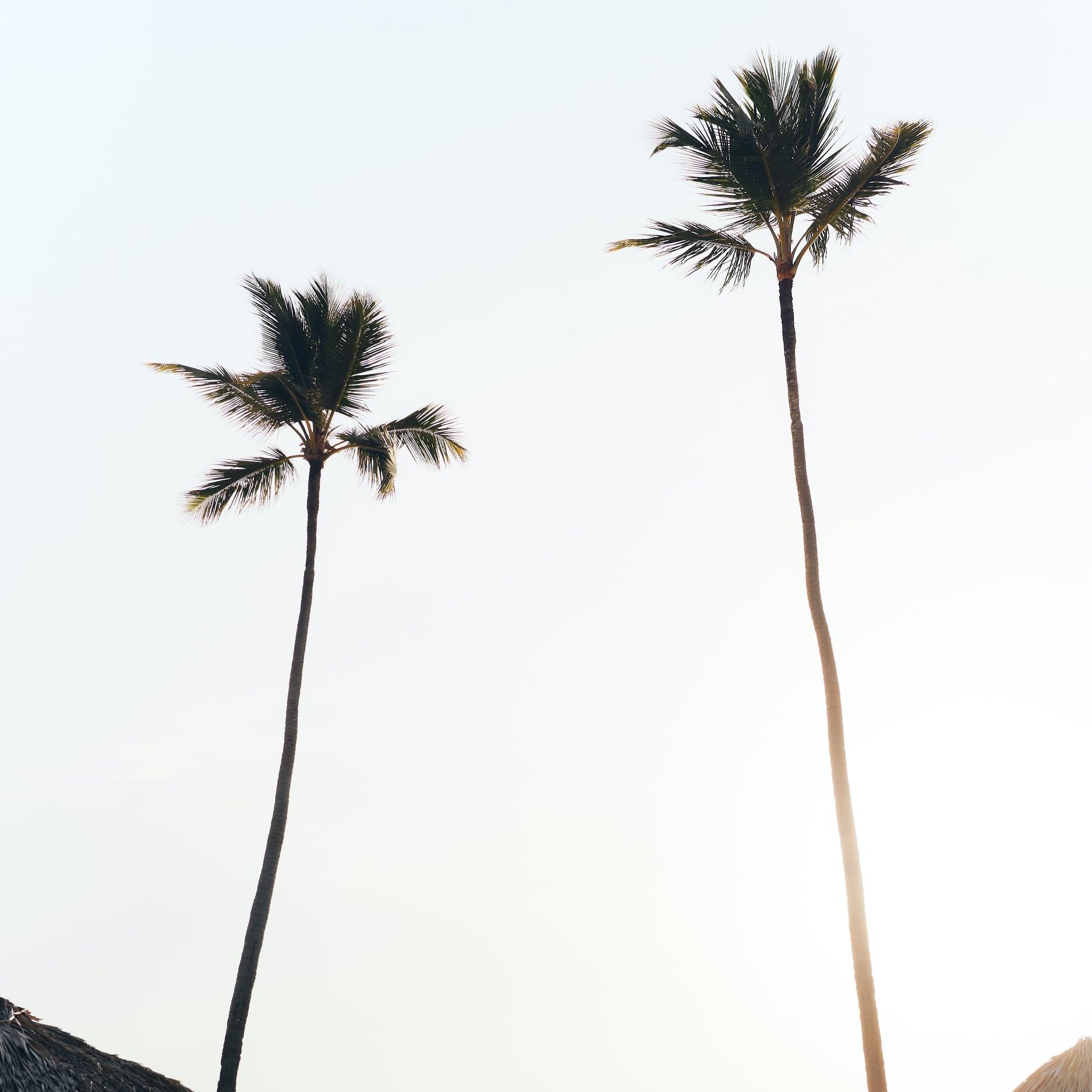 Eden Roc Cap Cana portfolio 3