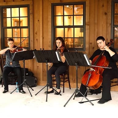 Atoka String Quartet portfolio 4