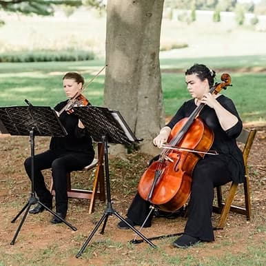 Atoka String Quartet portfolio 3