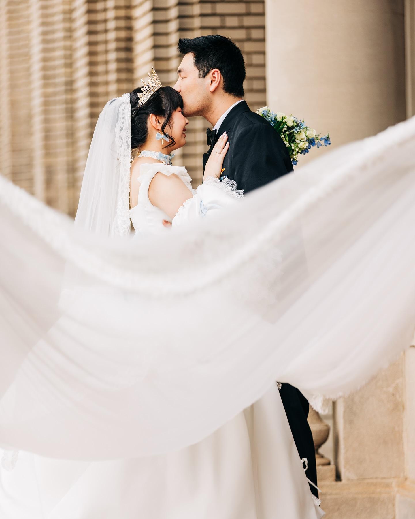 White Swan Bridal portfolio 3