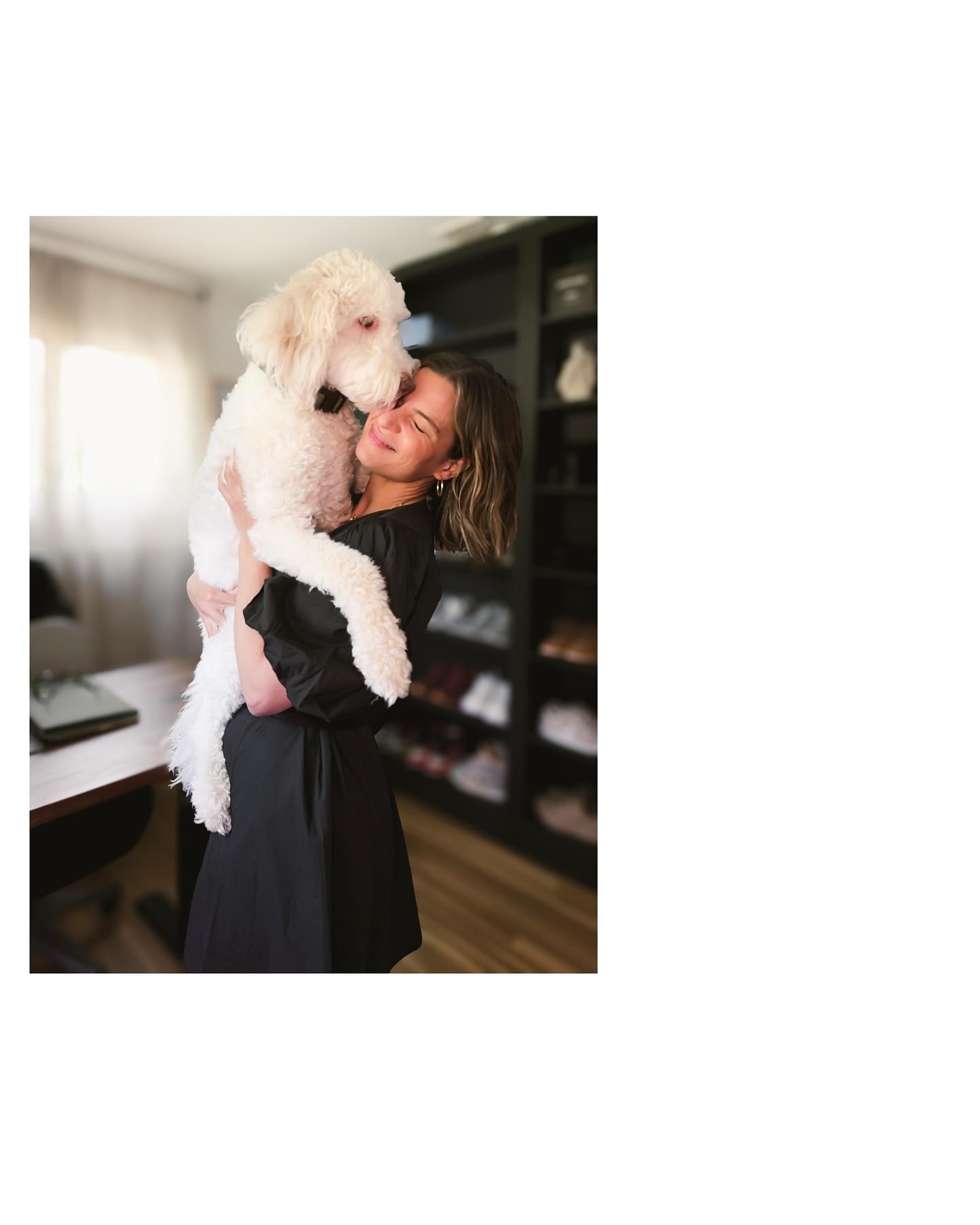 Happy Bark & Tails portfolio 4