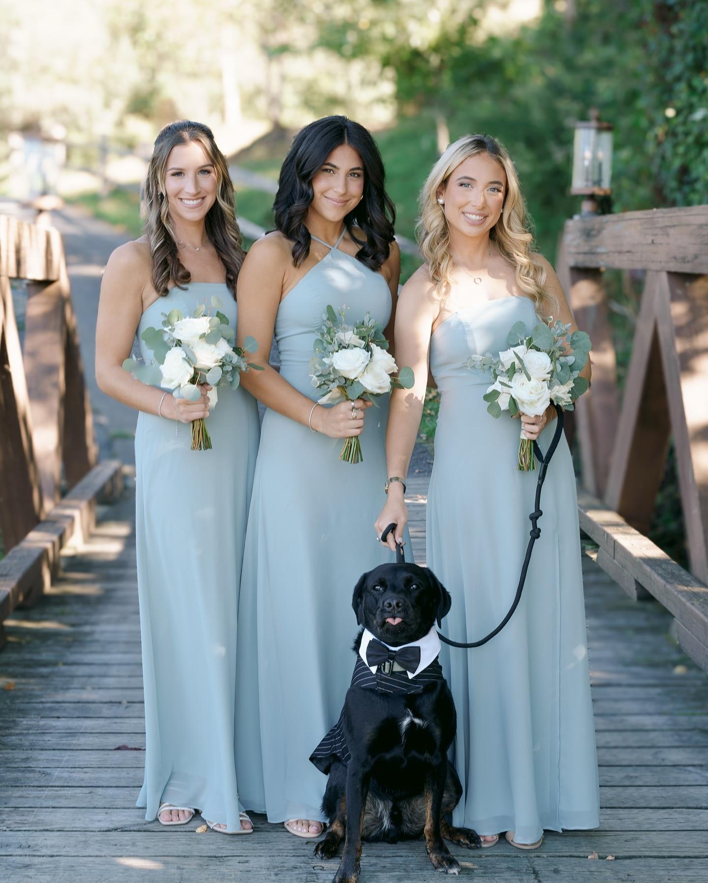 Happy Bark & Tails