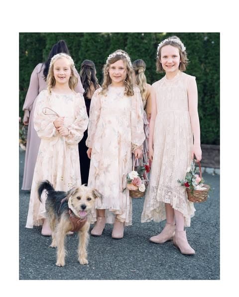 Happy Bark & Tails portfolio 1