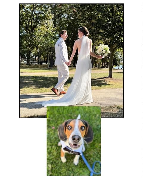Happy Bark & Tails portfolio 2