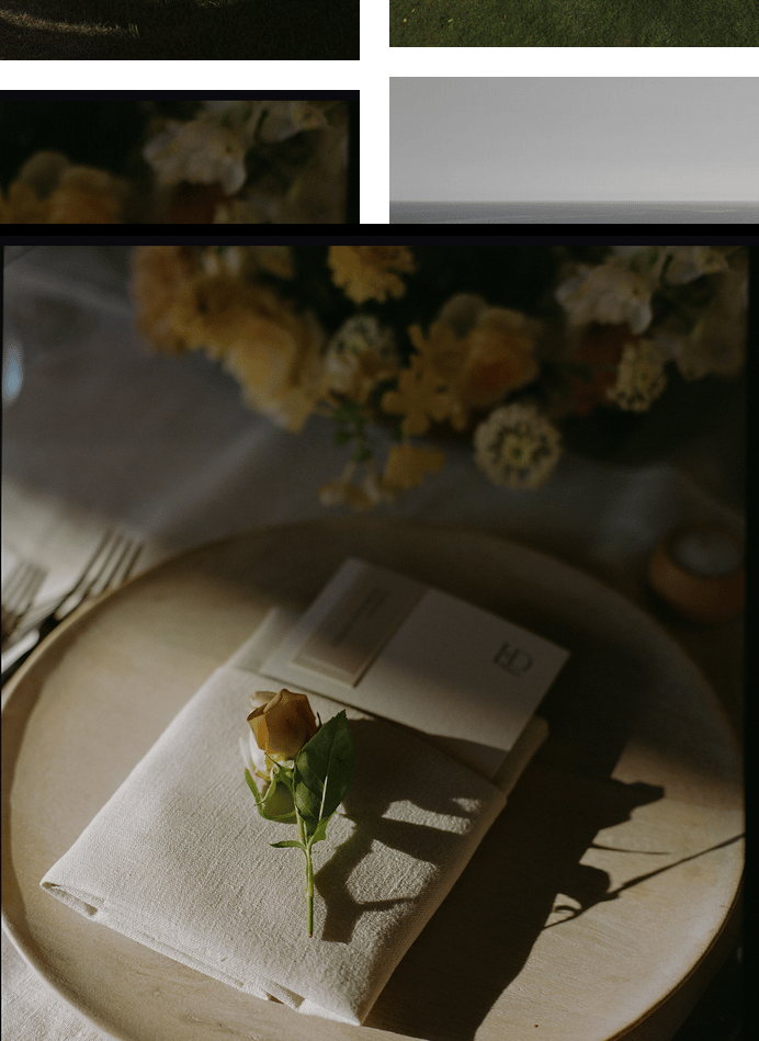 Stafford Creative + Co. portfolio 5