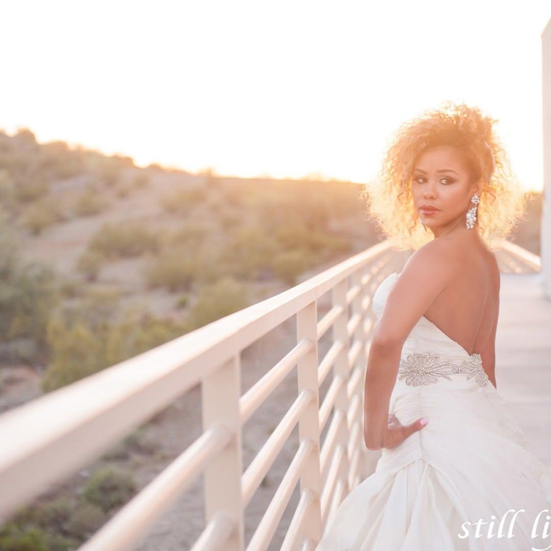 LVBRIDE portfolio 2