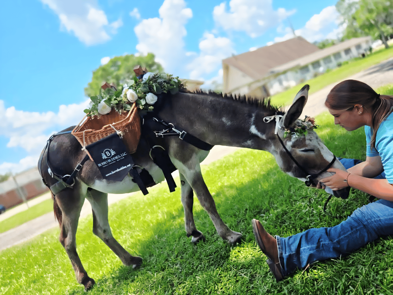 Burro Buddies, LLC portfolio 3