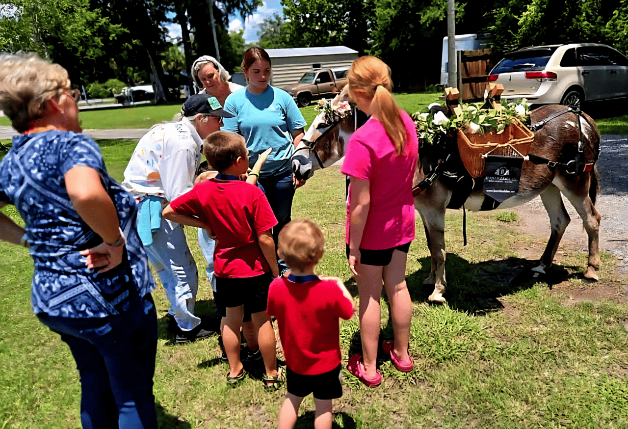 Burro Buddies, LLC portfolio 4