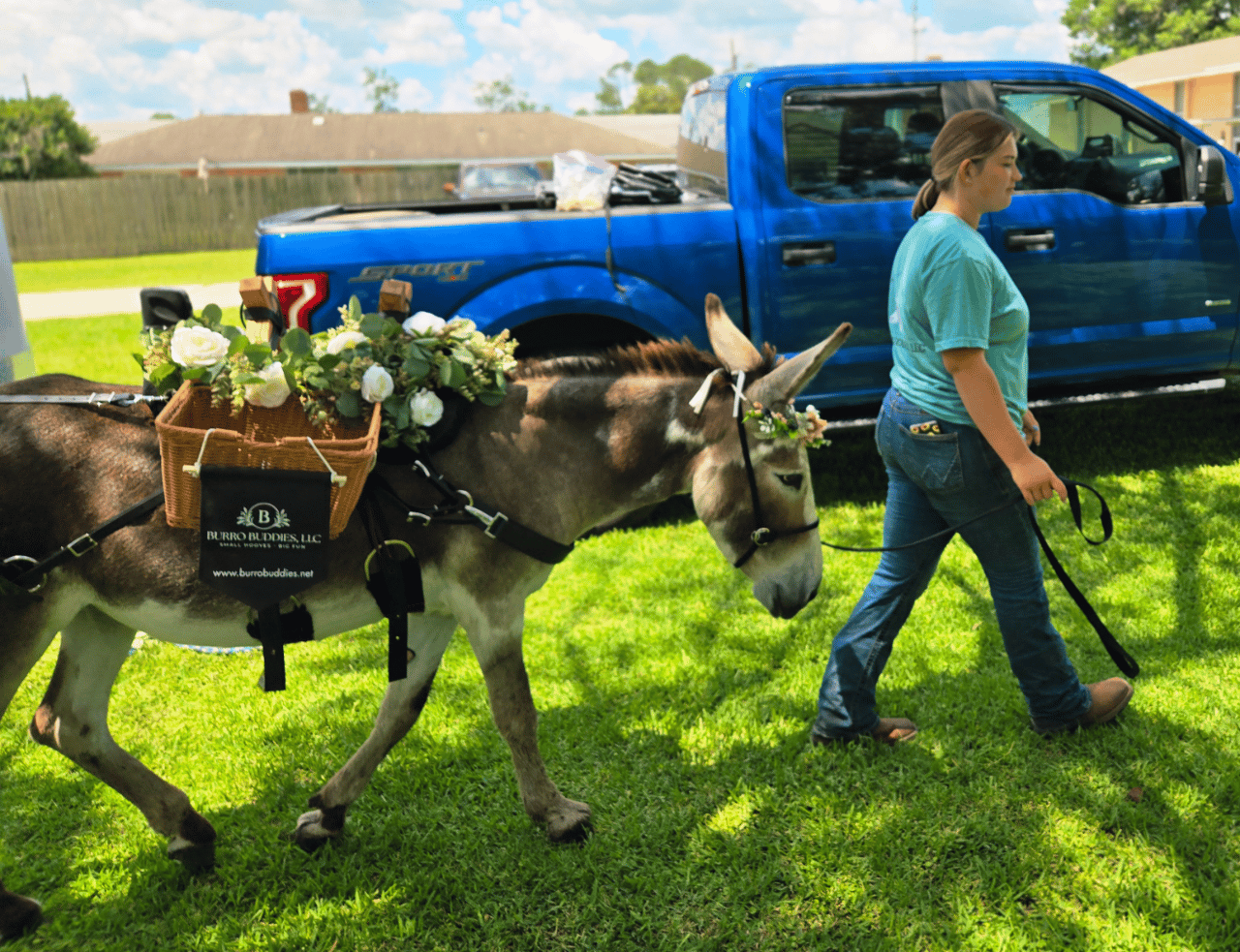 Burro Buddies, LLC portfolio 5