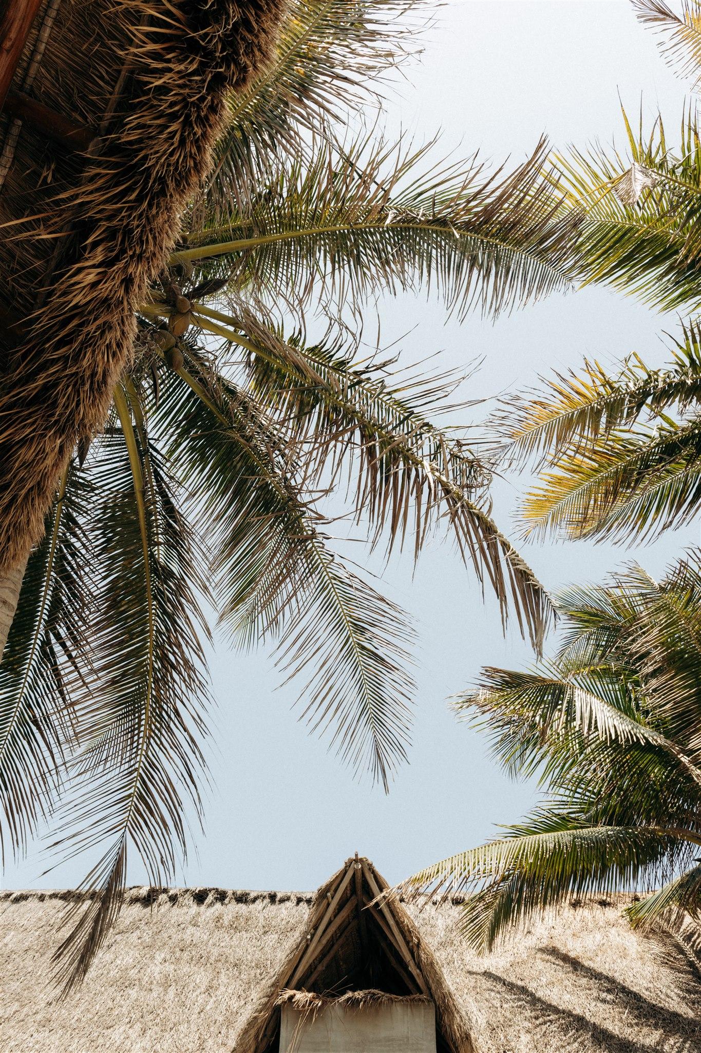 A Modern Spring Wedding at NU Tulum photo 5