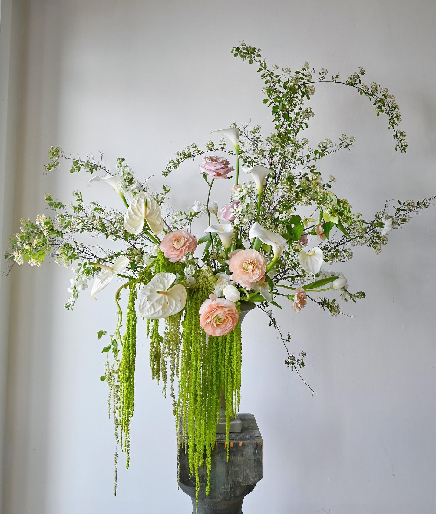 Blue Jasmine Floral